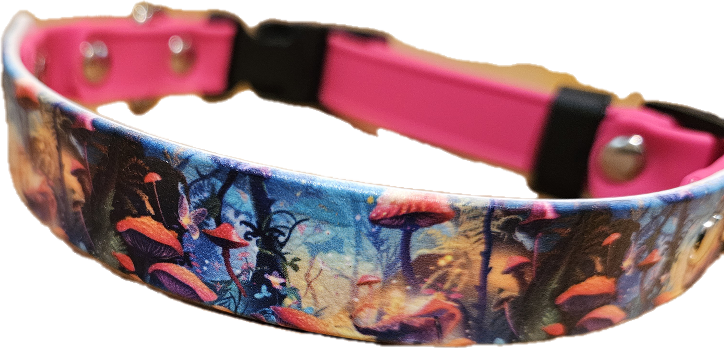 Printed Biothane® with Solid Colour - 1" Width