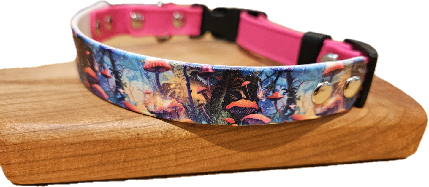 Printed Biothane® with Solid Colour - 1" Width