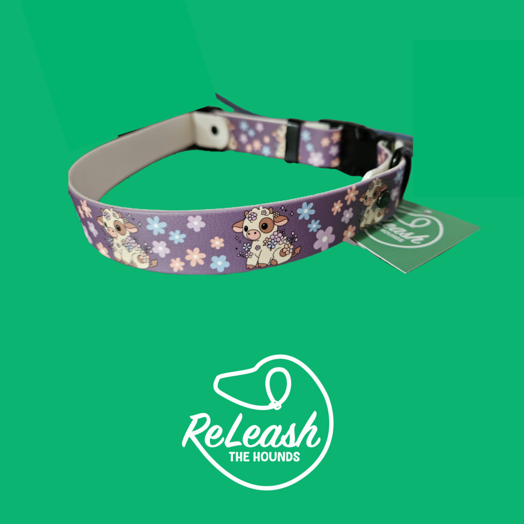 Printed Biothane® - 1" Width