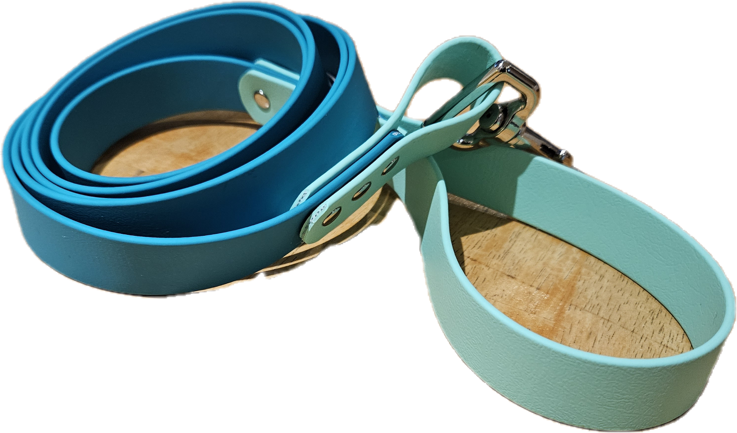 Standard Biothane® Leash