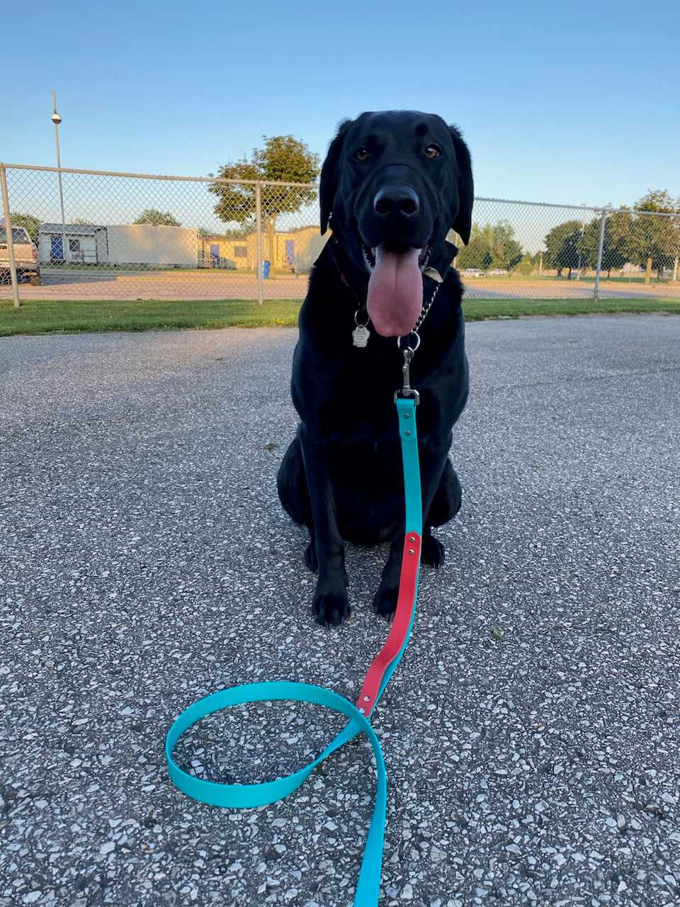 Hands-Free Optional Leash