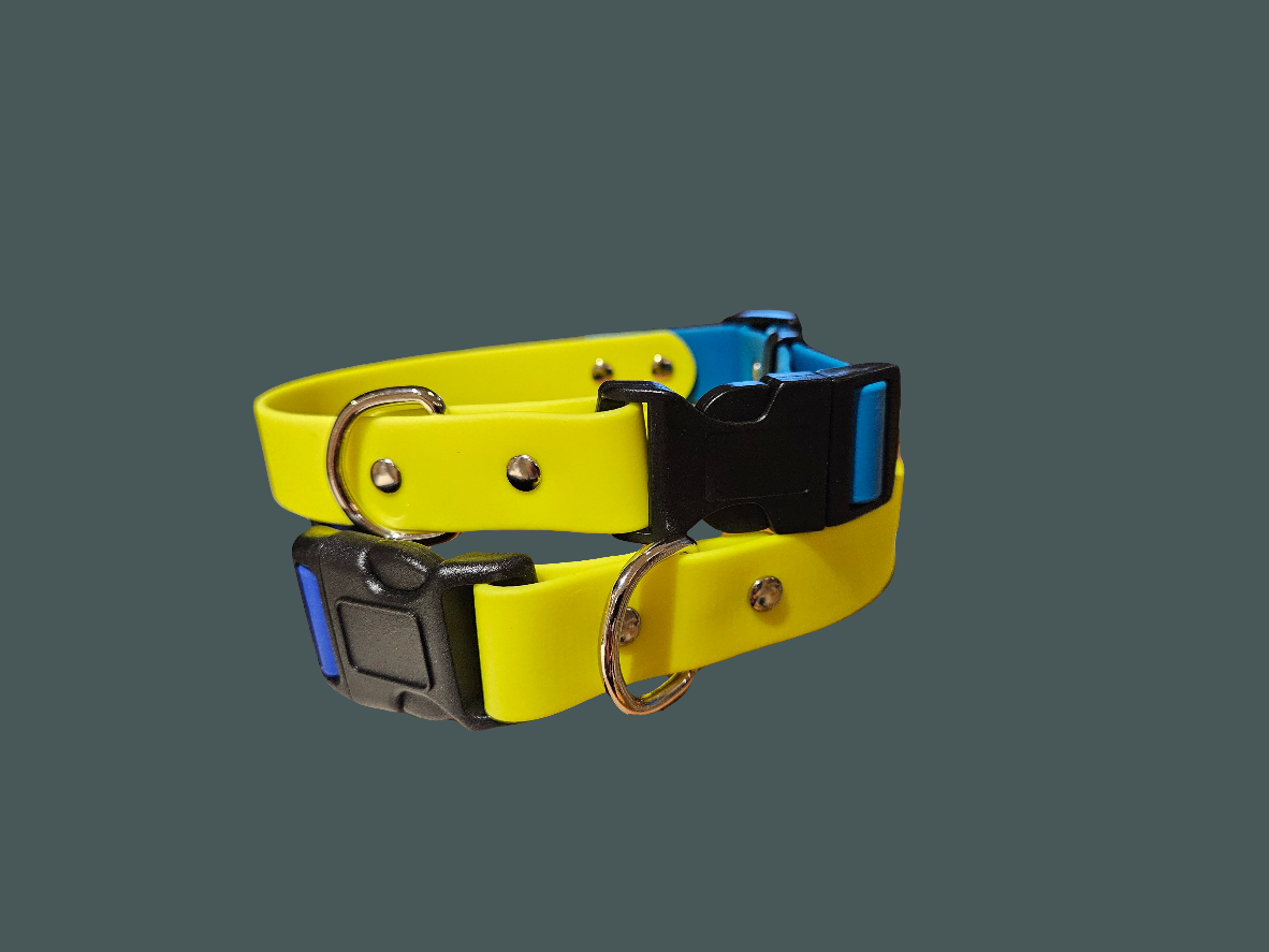 Solid Colour Collar