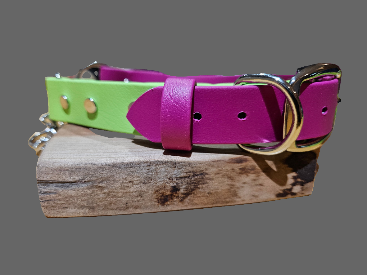 Solid Colour Collar