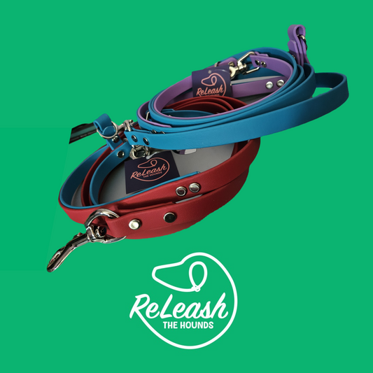 Hands-Free Optional Leash
