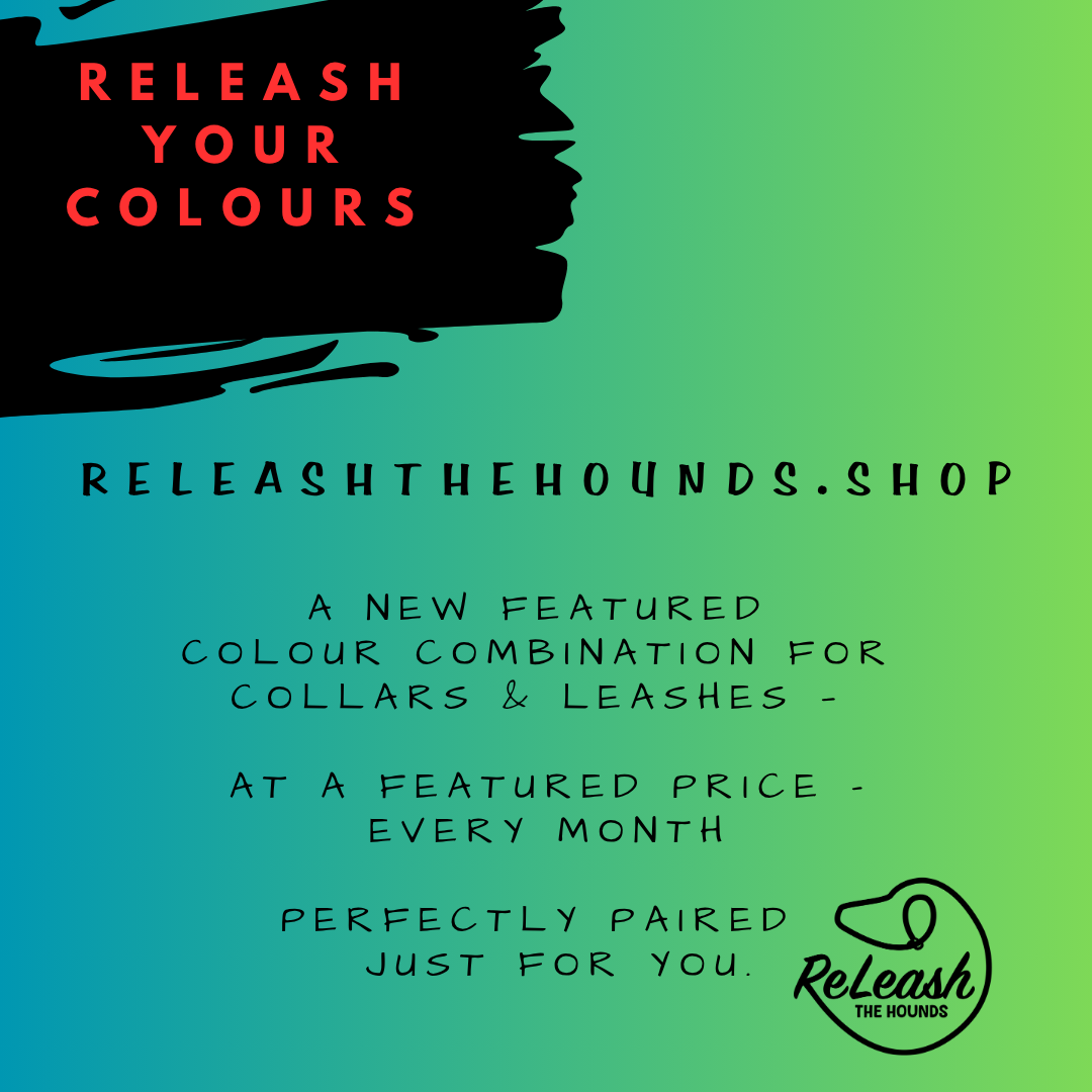 ReLeash Your Colours - Pool Pawty