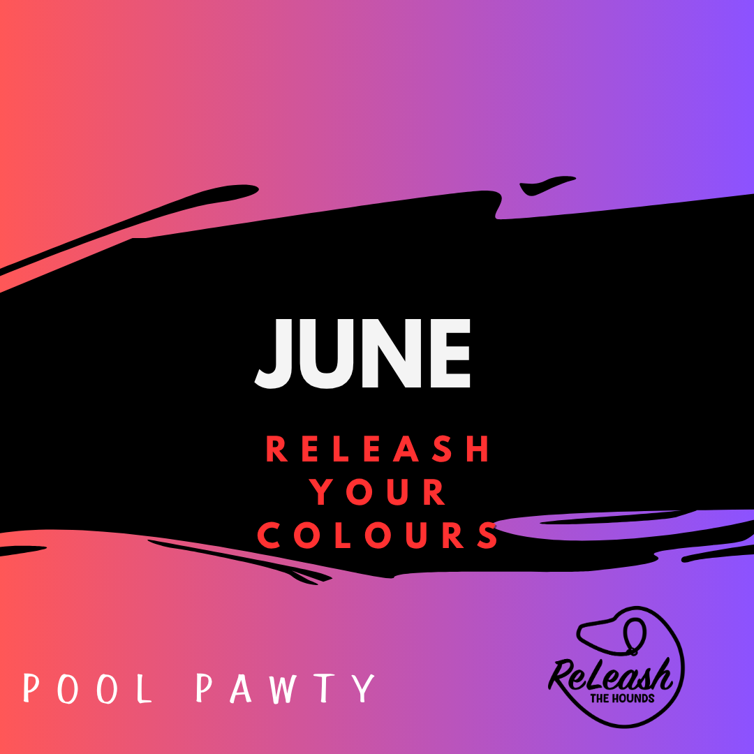 ReLeash Your Colours - Pool Pawty