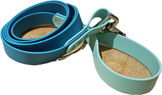 Standard Biothane® Leash