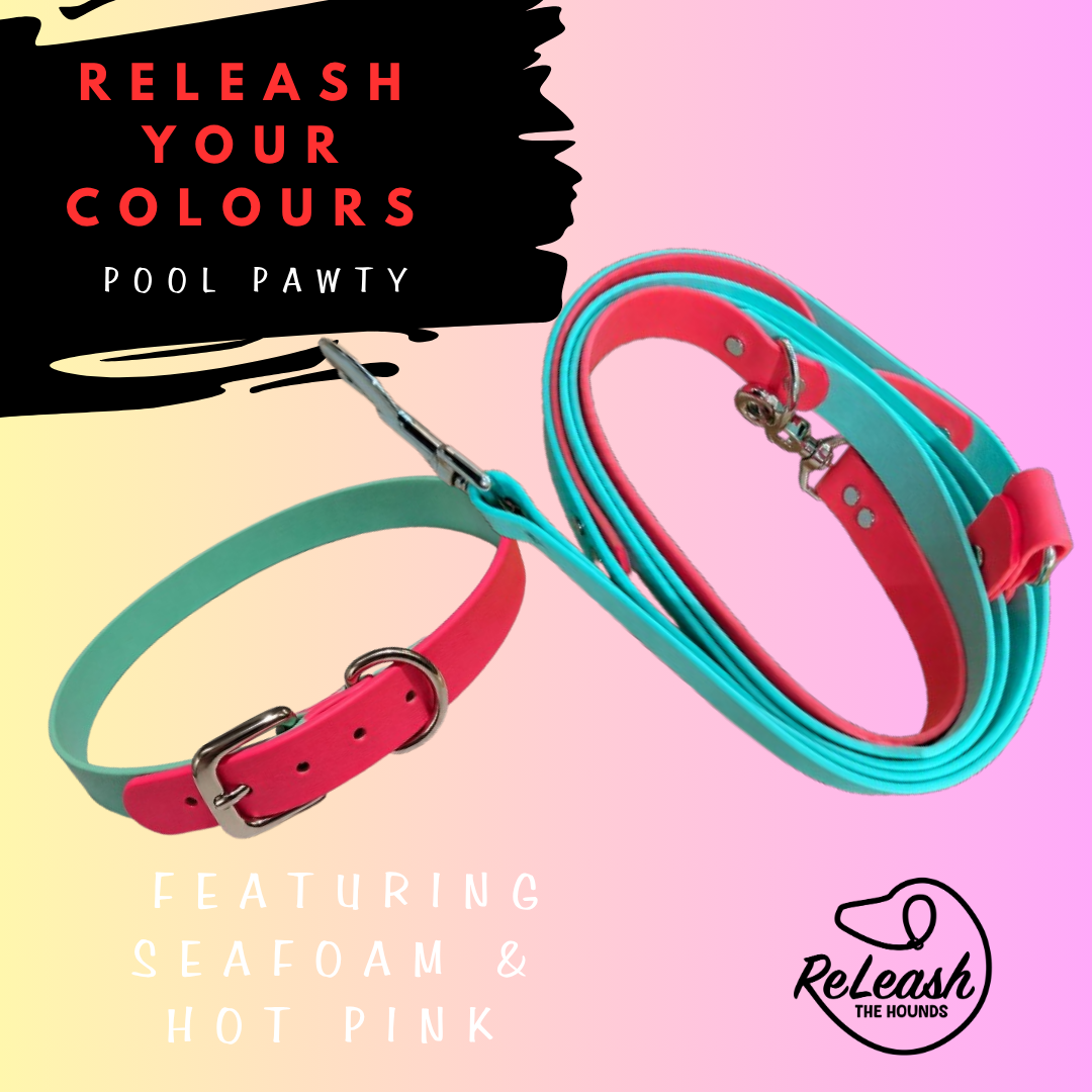 ReLeash Your Colours - Pool Pawty