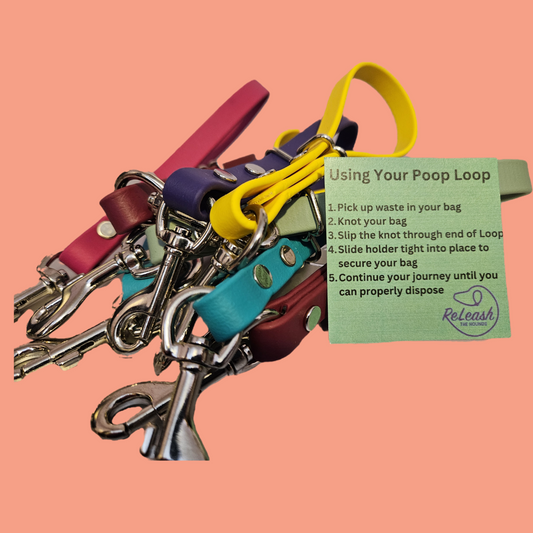 POOP LOOP